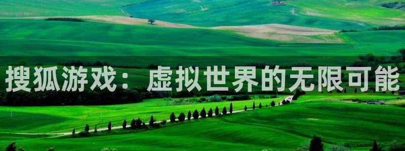 db电竞子最好看的小说：搜狐游戏：虚拟世界的无限可能