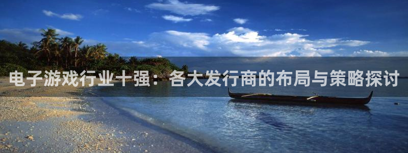 db电竞官网注册平台怎么样啊：电子游戏行业十强：各大发行商的布局与策略探讨