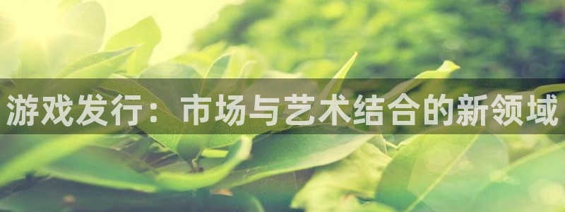 db电竞官网注册地址查询官网：游戏发行：市场与艺术结合的新领域