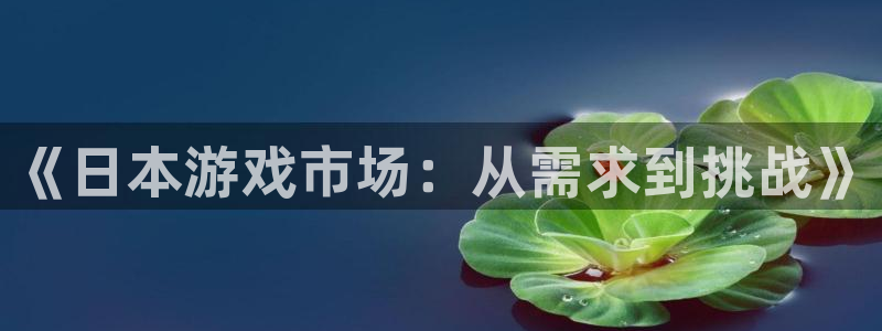 法国db电竞：《日本游戏市场：从需求到挑战》