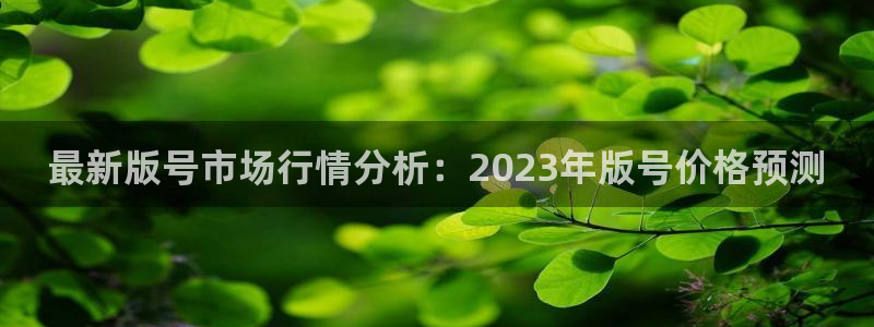 db电竞官网注册方法有哪些软件：最新版号市场行情分析：2023年版号价格预测