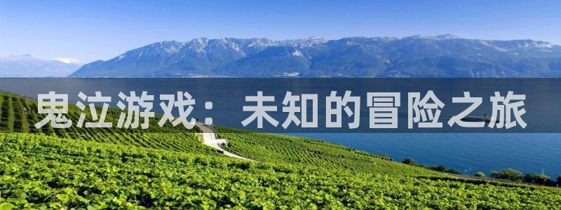 db电竞官网代理开号平台