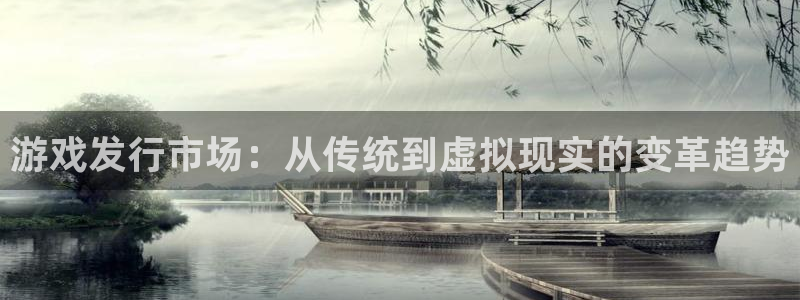 广州db电竞运动服：游戏发行市场：从传统到虚拟现实的变革趋势