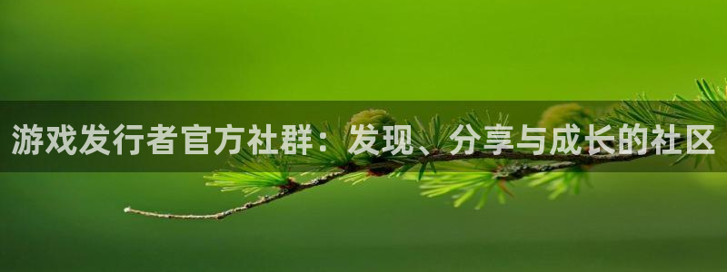 db电竞涂料(北京)有限公司：游戏发行者官方社群：发现、分享与成长的社区