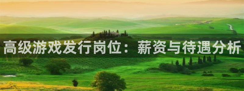 db电竞子市值：高级游戏发行岗位：薪资与待遇分析
