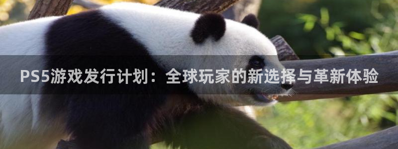 db电竞集团公司怎么样：PS5游戏发行计划：全球玩家的新选择与革新体验