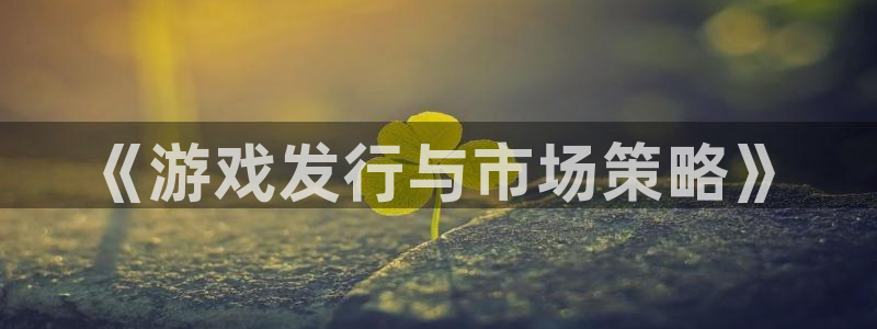 db电竞子经理人：《游戏发行与市场策略》