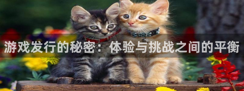 db电竞子图书：游戏发行的秘密：体验与挑战之间的平衡