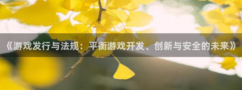 db电竞官网平台代理条件：《游戏发行与法规：平衡游戏开发、创新与安全的未来》