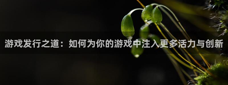 db电竞平台登录入口官网：游戏发行之道：如何为你的游戏中注入更多活力与创新