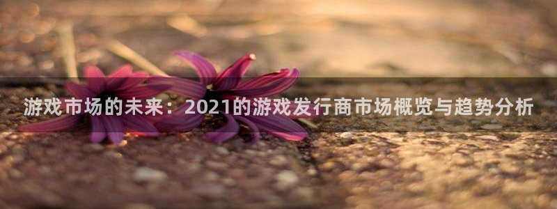 db电竞官网注册地址：游戏市场的未来：2021的游戏发行商市场概览与趋势分析