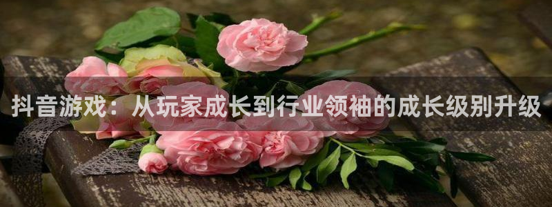 db电竞环境科技有限公司