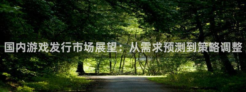深圳市db电竞科技有限招聘公司