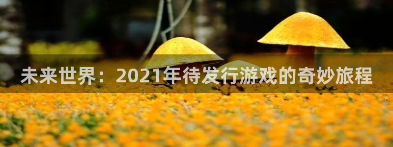 db电竞电子科技股票