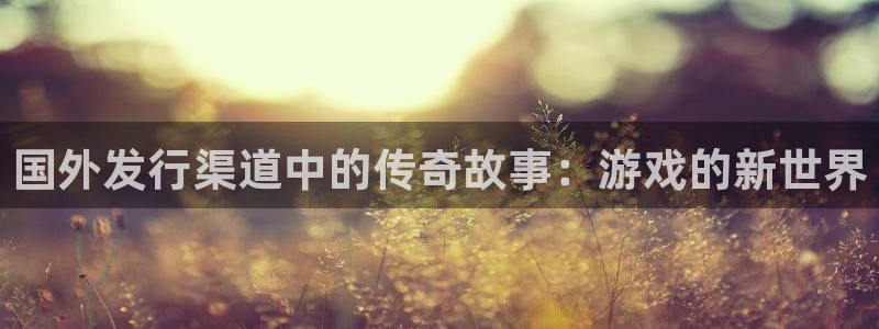 广州db电竞网络科技有限公司电话：国外发行渠道中的传奇故事：游戏的新世界