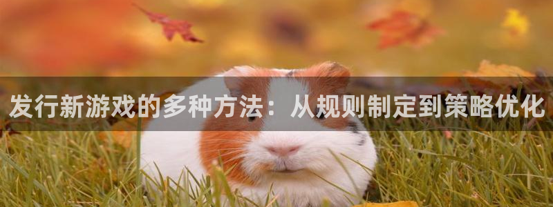 db电竞子怎么来的：发行新游戏的多种方法：从规则制定到策略优化