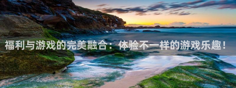 db电竞子文化创意有限公司