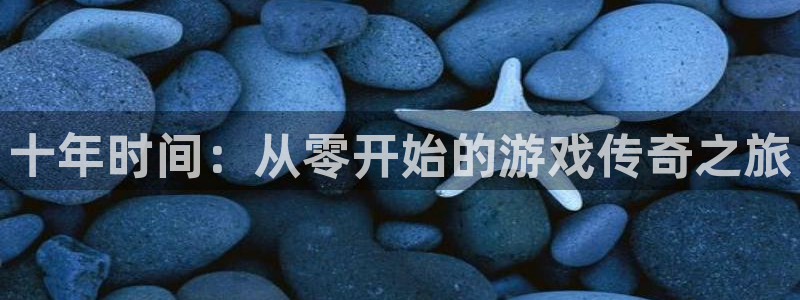 db电竞官网登录注册账号密码：十年时间：从零开始的游戏传奇之旅